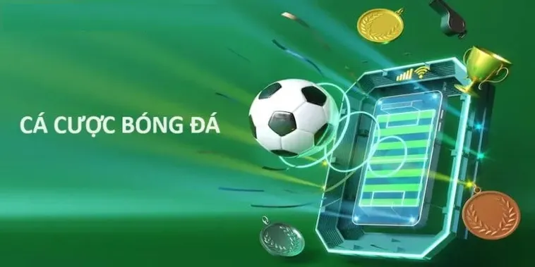 Top Các Trang Cá Cược Bóng Đá Uy Tín Và Tiêu Chí Lựa Chọn