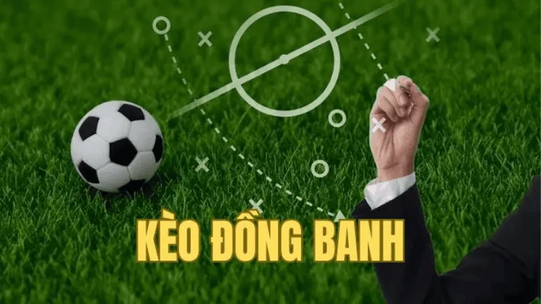 Chia Sẻ Kinh Nghiệm Soi Kèo Đồng Banh Hiệu Quả Nhất Cho Người Đam Mê