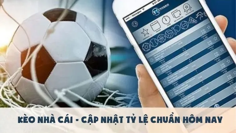 Chiến Thuật Chinh Phục Kèo Tài Xỉu Hiệp 2 Và Bí Quyết Thắng Đậm Từ Chuyên Gia