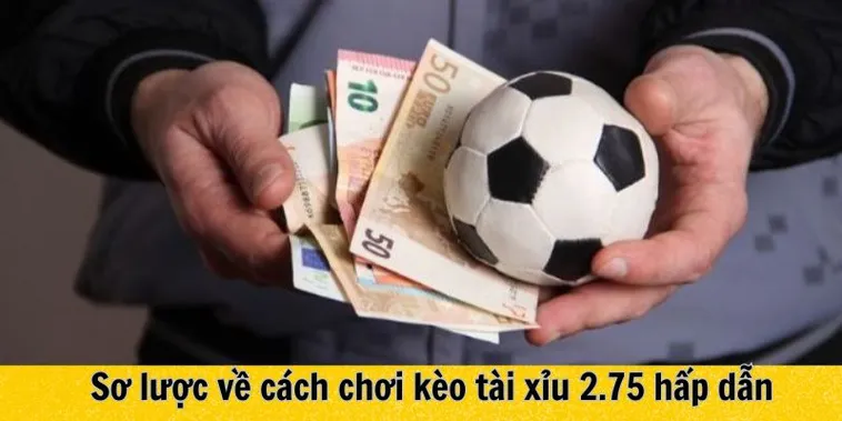 Bí Quyết Soi Kèo 2.75 Luôn Thắng Từ Kinh Nghiệm Của Các Bậc Tiền Bối