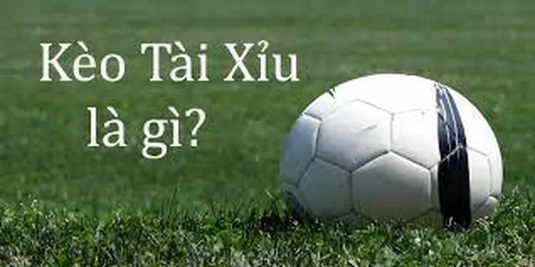 Bí Quyết Soi Kèo Tài Xỉu Bóng Đá Hiệu Quả Từ Chuyên Gia Lão Luyện