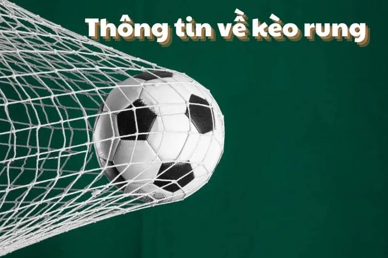 Bí Quyết Soi Kèo Rung Trong Bóng Đá Hiệu Quả Cho Người Mới