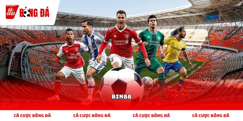 Thông tin cơ bản về các dịch vụ giải trí chính tại Bin88