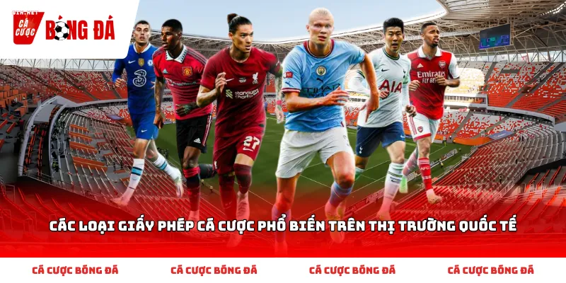 Các Loại Giấy Phép Cá Cược Phổ Biến Trên Thị Trường Quốc Tế