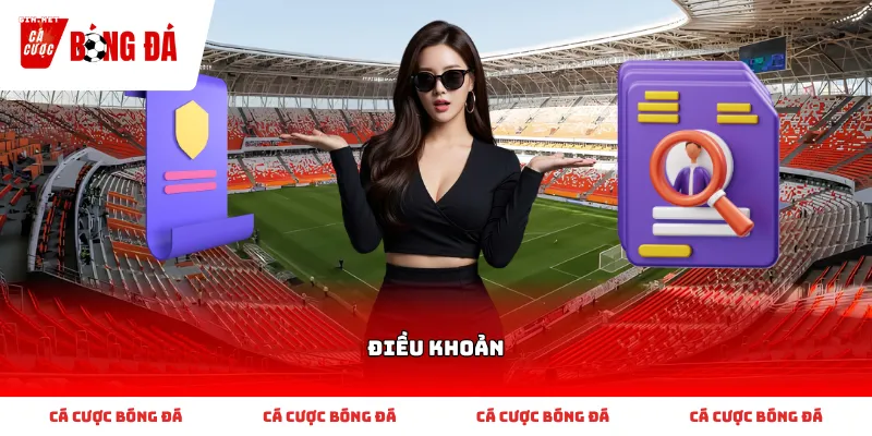 Hướng dẫn cơ bản cho thành viên mới khi tra cứu Điều khoản