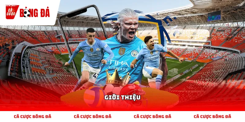 Những thông số cơ bản cần nắm khi đọc Giới thiệu tổng quan