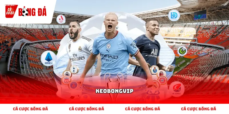 Cách nhận diện giao diện và các tính năng chính của Keobongvip