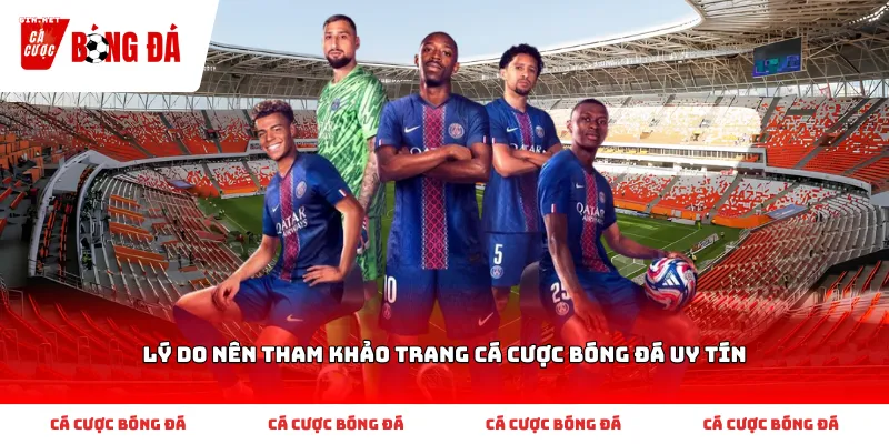 Lý Do Nên Tham Khảo Trang Cá Cược Bóng Đá Uy Tín