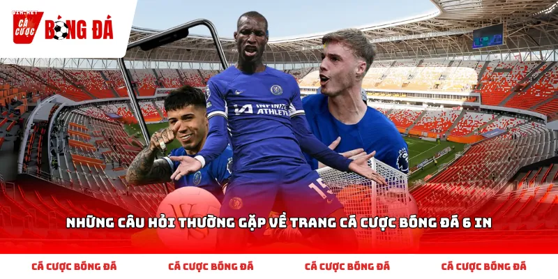 Những Câu Hỏi Thường Gặp Về Trang Cá Cược Bóng Đá 6 IN
