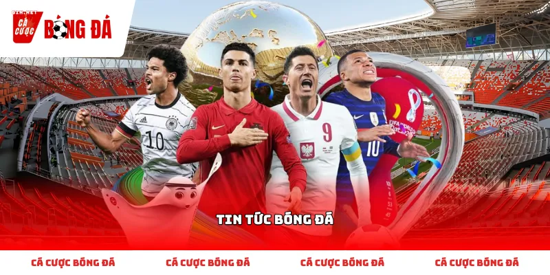 Thông tin tóm lược về Tin tức bóng đá mà nhiều người quan tâm