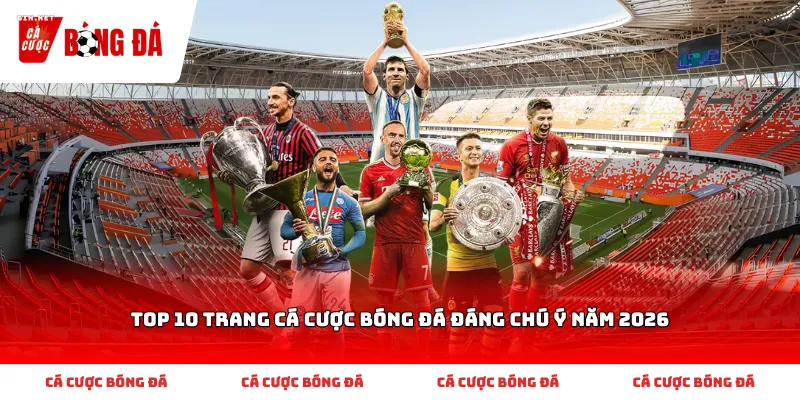 Top 10 Trang Cá Cược Bóng Đá Đáng Chú Ý Năm 2026