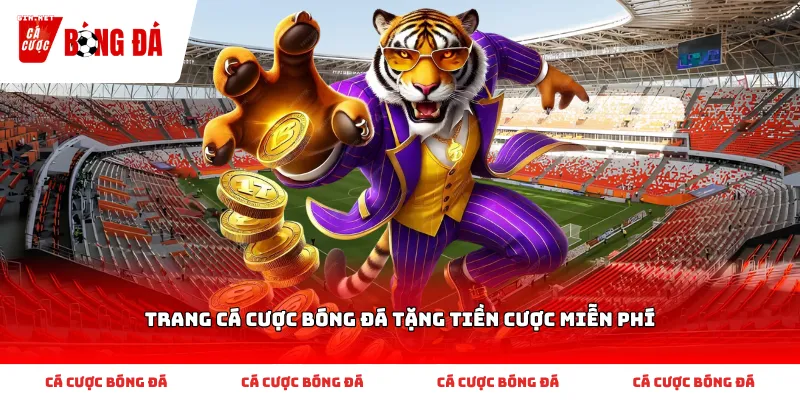 Cách nhận biết và chọn Trang cá cược bóng đá tặng tiền cược miễn phí phù hợp