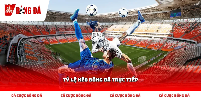 Theo dõi những biến động quan trọng của các thông số Tỷ lệ kèo bóng đá trực tiếp